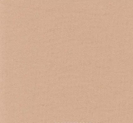 Solid Beige Snuggle Flannel Fabric