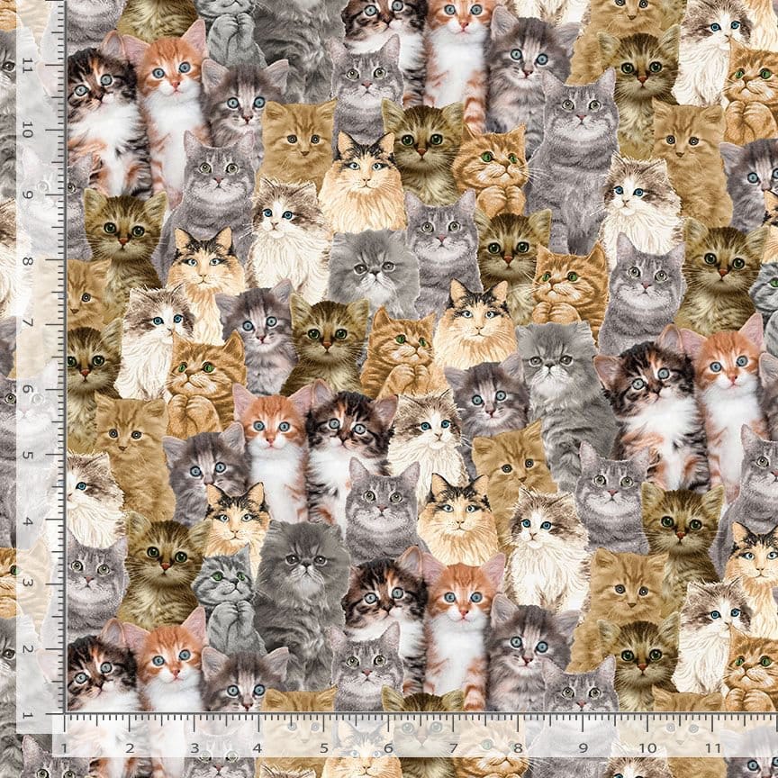 Timeless Treasures Packed Realistic Cats Quilting Cotton Fabric- Natural