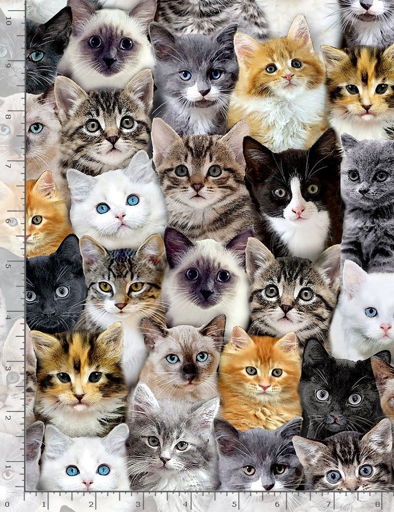Timeless Treasures Packed Wild Cat Mixed Breeds of Cats Quilting Cotton Fabric- Multi