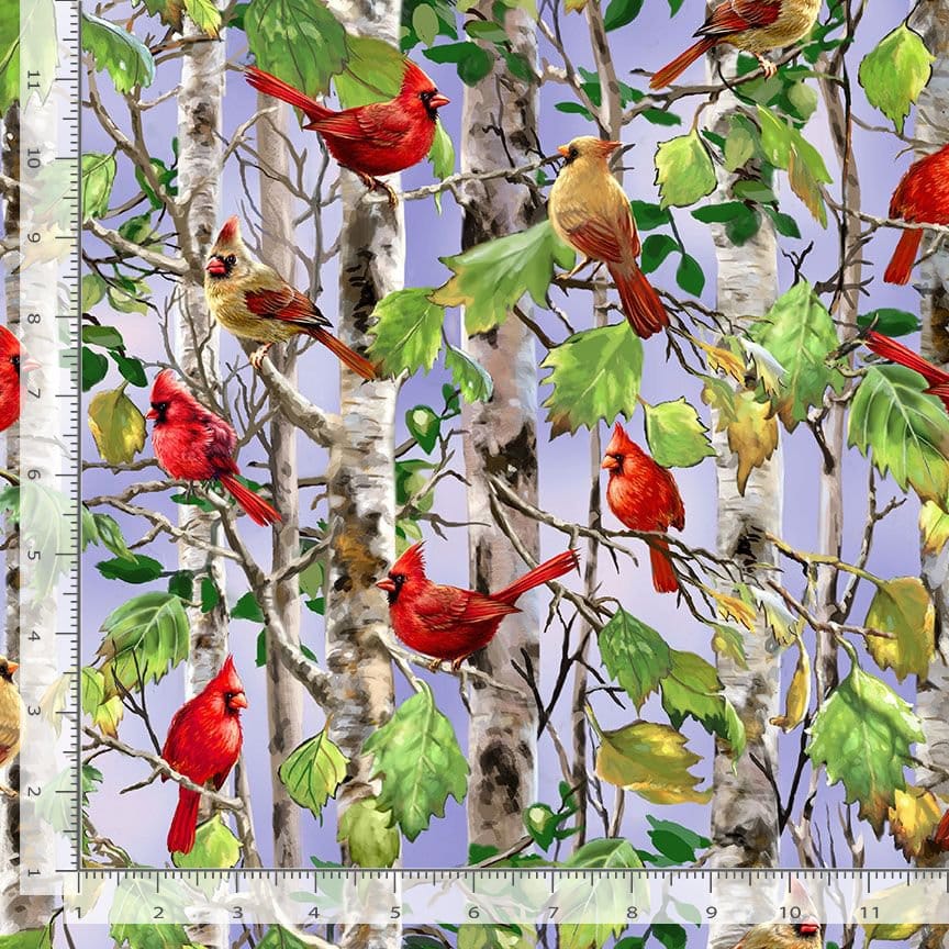 Timeless Treasures Spring Song Cardinal on Birch Tree Quilting Cotton Fabric- Multi