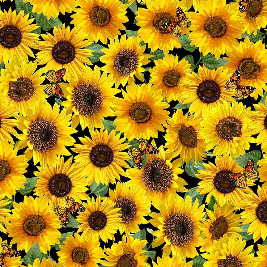 Timeless Treasures Sunflower Collection Packed Sunflowers & Butterflies Quilting Cotton Fabric- Yellow