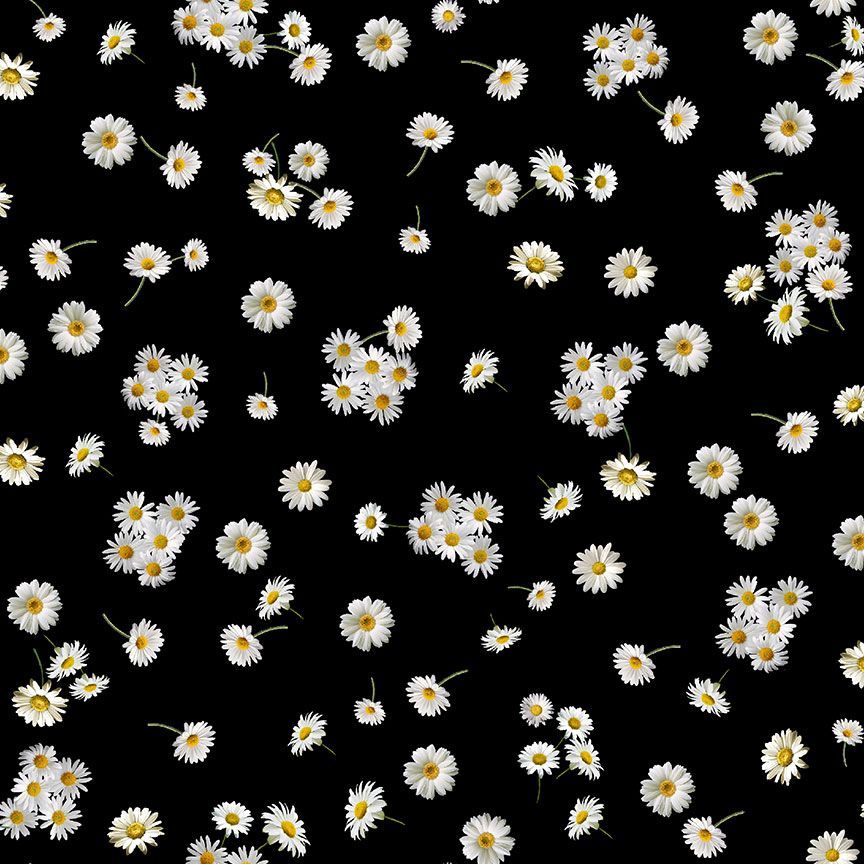 Timeless Treasures Sunflower Collection Tossed Small Daisies Quilting Cotton Fabric- Black