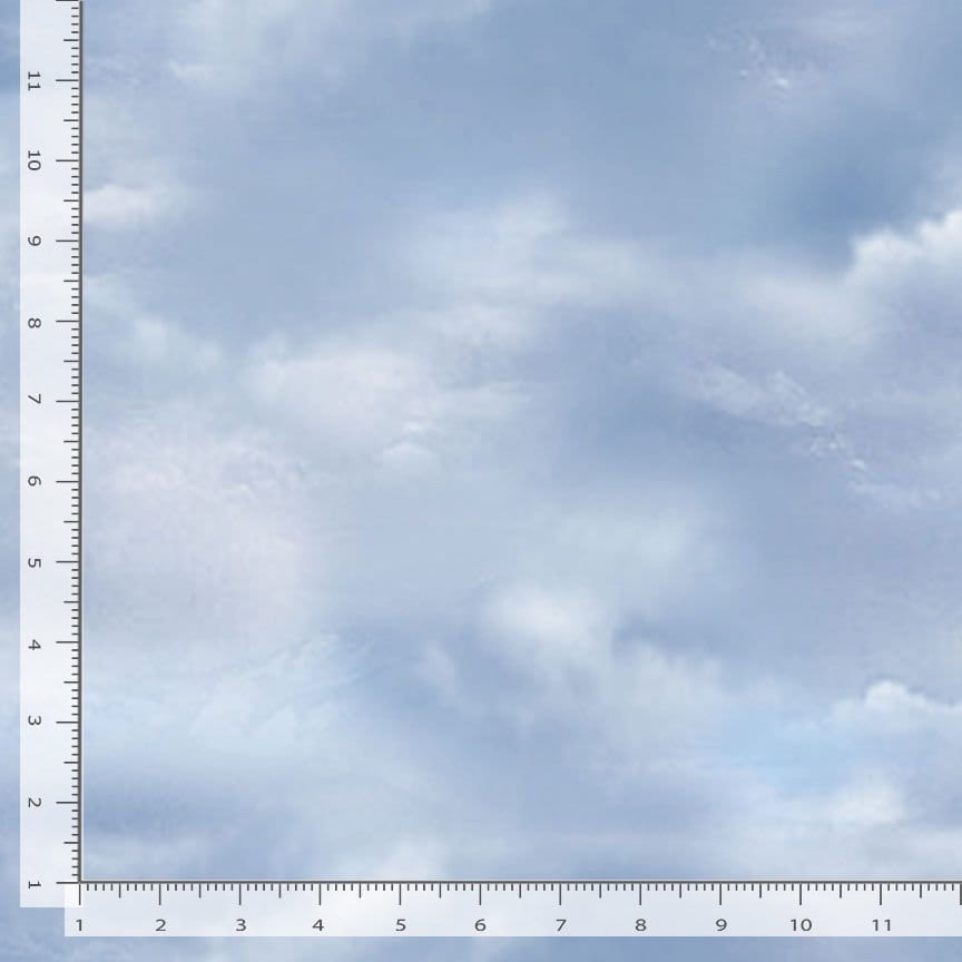 Timeless Treasures Misty Mountain Misty Clouds Quilting Cotton Fabric- Sky