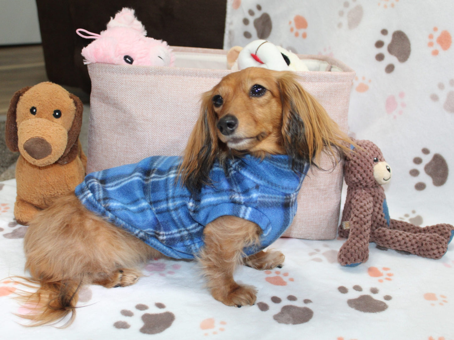 Royal Stewart Blue Plaid Fleece Dachshund Sweater - Measurements in item description