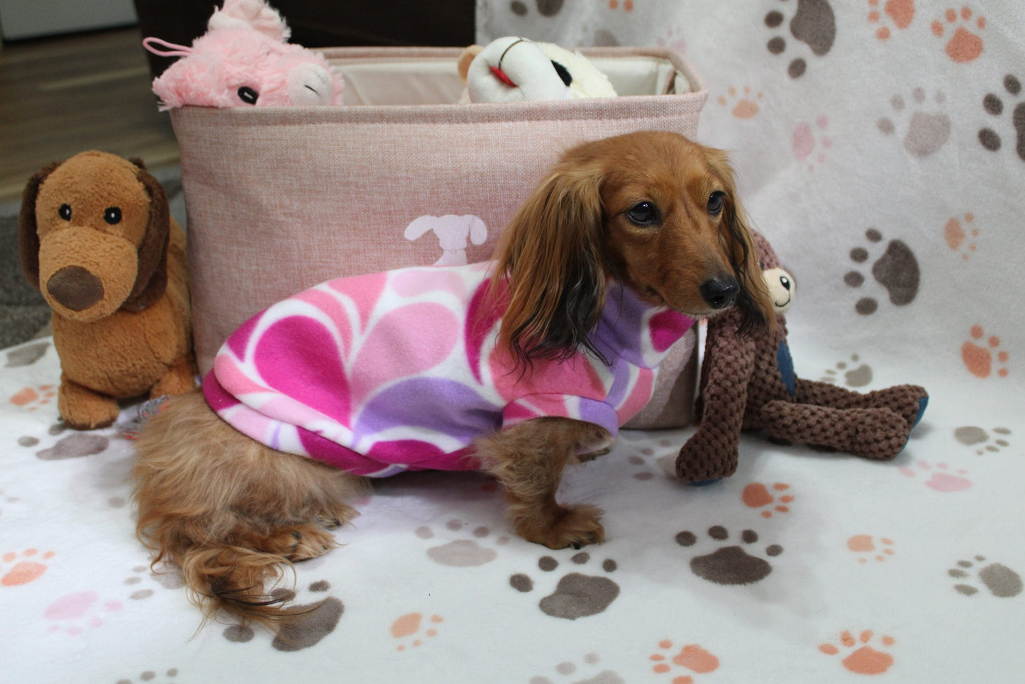 Yasmin Swirls Fleece Dachshund Sweater - Measurements in item description