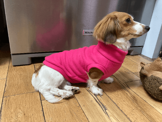 Solid Fleece Dog Sweaters- Multiple Colors!