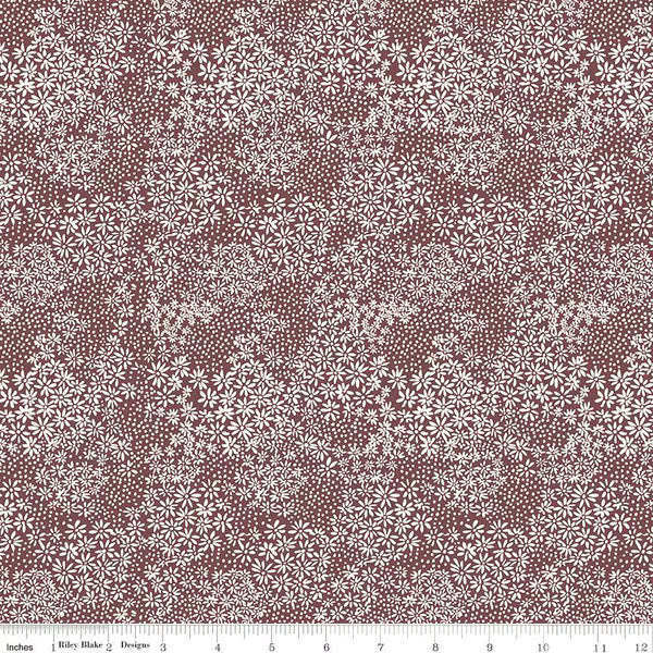 A Walk on the Prairie