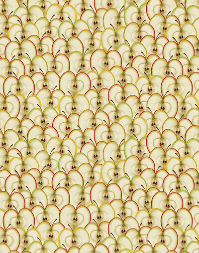 Benartex Cider House Apple Slices Quilting Cotton Fabric- Multi