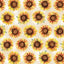 Benartex Give Thanks Sunflower Dot Quilting Cotton Fabric- Cream