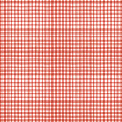 Northcott Quack Quack Moo Gingham Quilting Cotton Fabric- Red/White
