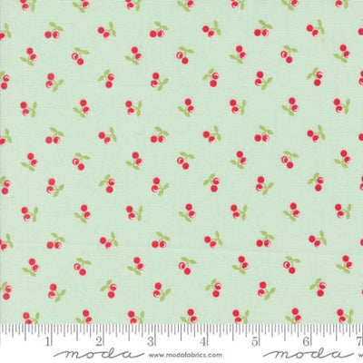 Moda Cali Co Quilting Cotton Fabric- Breeze