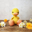 Hardicraft Abby Duck Crochet Kit