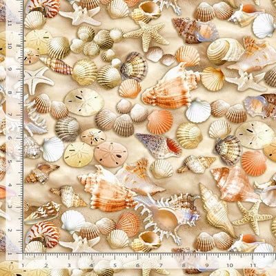 Timeless Treasures Beachcomber Shells Quilting Cotton Fabric- Multi