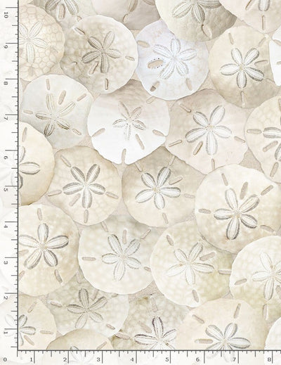 Timeless Treasures Packed Sand Dollars On Beach Quilting Cotton Fabric- Sand