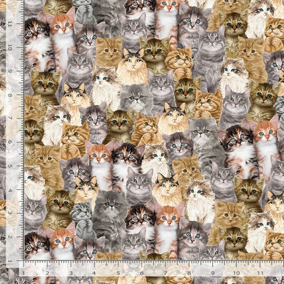 Timeless Treasures Packed Realistic Cats Quilting Cotton Fabric- Natural