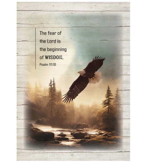 Eagle Fleece Throw 50x70 inches