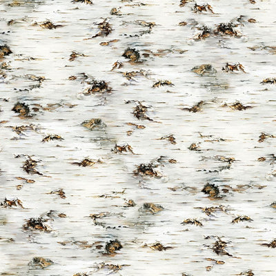 Timeless Treasures Birch Tree Texture Quilting Cotton Fabric- Birch