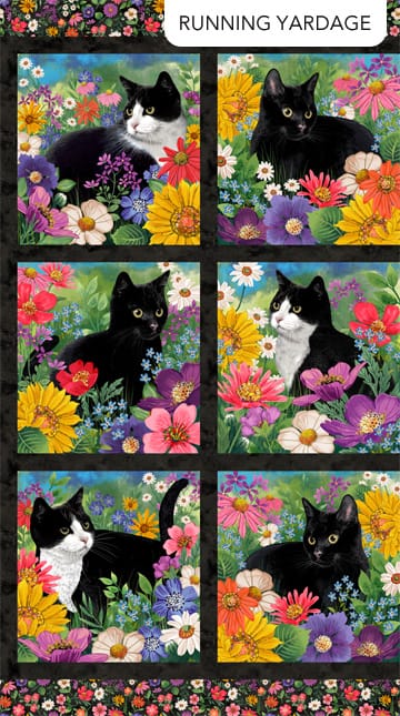 Northcott Hide and Seek Cat Blocks Quilting Cotton Fabric- Black Multi