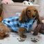 Deac Blue Plaid Dachshund Sweater - Measurements in item description
