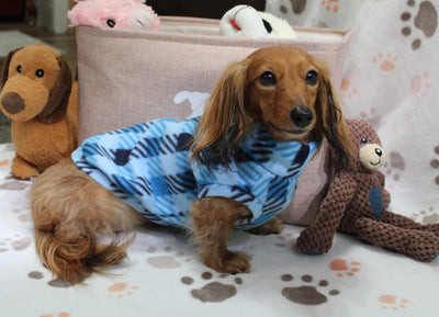 Deac Blue Plaid Dachshund Sweater - Measurements in item description