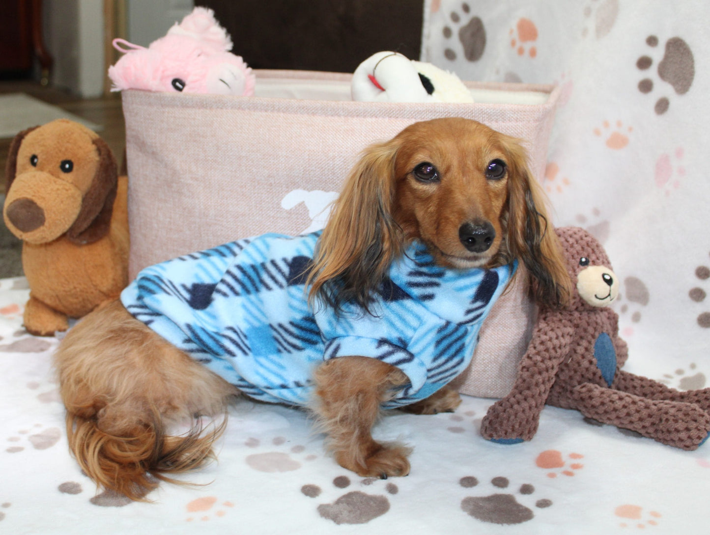 Deac Blue Plaid Dachshund Sweater - Measurements in item description