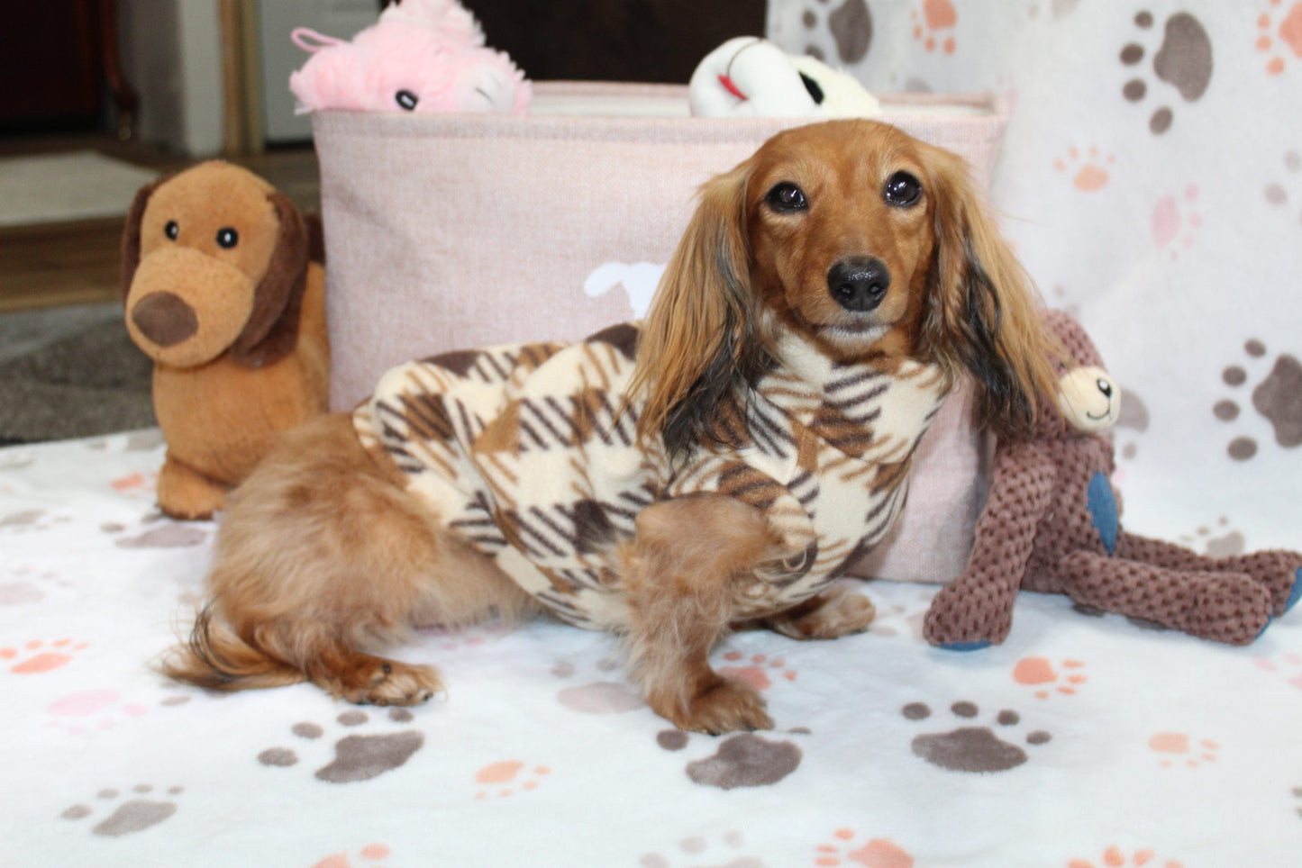 Deac Brown Plaid Dachshund Sweater - Measurements in item description