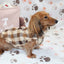 Deac Brown Plaid Dachshund Sweater - Measurements in item description
