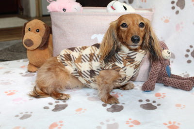 Deac Brown Plaid Dachshund Sweater - Measurements in item description
