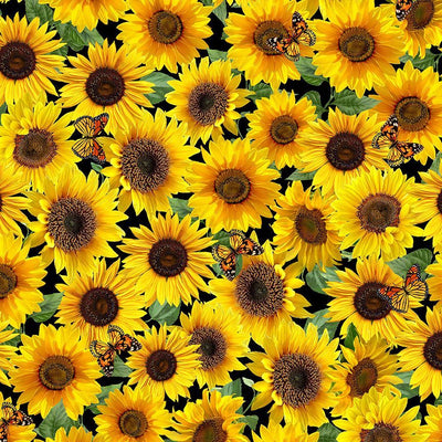 Timeless Treasures Sunflower Collection Packed Sunflowers & Butterflies Quilting Cotton Fabric- Yellow