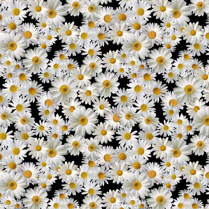 Timeless Treasures Sunflower Collection Blooming Packed Daisies Quilting Cotton Fabric- Black