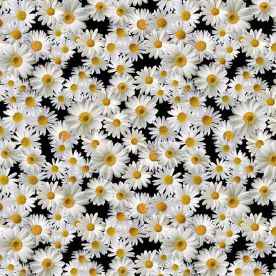 Timeless Treasures Sunflower Collection Blooming Packed Daisies Quilting Cotton Fabric- Black