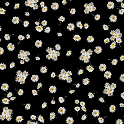 Timeless Treasures Sunflower Collection Tossed Small Daisies Quilting Cotton Fabric- Black