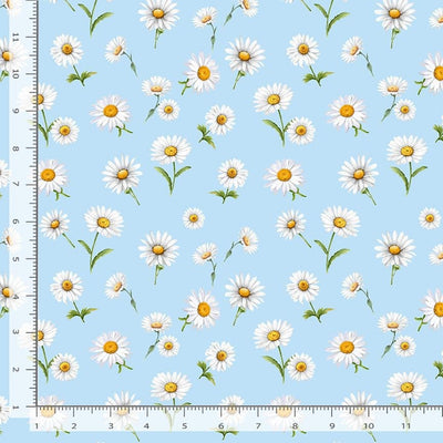 Timeless Treasures Bee Kind Spaced Daisies Quilting Cotton Fabric- Sky