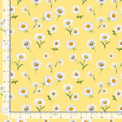 Timeless Treasures Bee Kind Spaced Daisies Quilting Cotton Fabric- Yellow