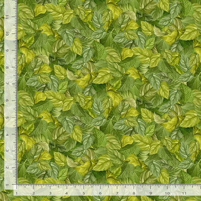 Timeless Treasures Sunflower Farm Packed Sunflowers Leaves Quilting Cotton Fabric- Green