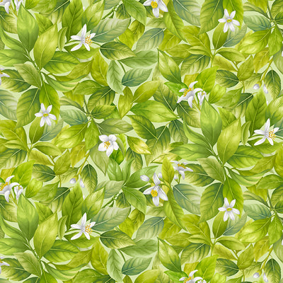 Timeless Treasures Lemon Bouquet Blossom Quilting Cotton Fabric- Green