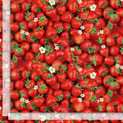 Timeless Treasures Berry Sweet Packed Sweet Strawberries Quilting Cotton Fabric- Red