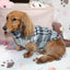Falko Gray Plaid Dachshund Sweater - Measurements in item description