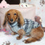 Falko Gray Plaid Dachshund Sweater - Measurements in item description