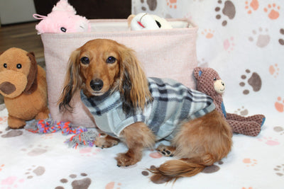 Falko Gray Plaid Dachshund Sweater - Measurements in item description