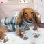 Falko Gray Plaid Dachshund Sweater - Measurements in item description