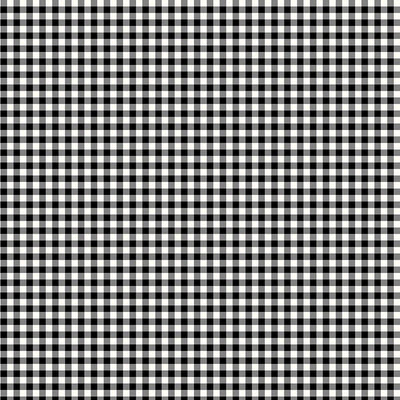 Timeless Treasures Orchard Valley Gingham Check Quilting Cotton Fabric- Black