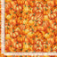 Timeless Treasures Gather With a Grateful Heart Packed Pumpkin Quilting Cotton Fabric- Pumpkin