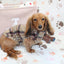 Falko Brown Plaid Fleece Dachshund Sweater - Measurements in item description