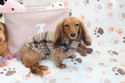 Falko Brown Plaid Fleece Dachshund Sweater - Measurements in item description