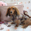 Falko Brown Plaid Fleece Dachshund Sweater - Measurements in item description