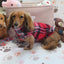 Falko Red Plaid Fleece Dachshund Sweater - Measurements in item description