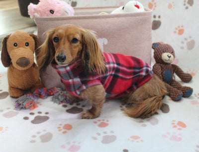 Falko Red Plaid Fleece Dachshund Sweater - Measurements in item description