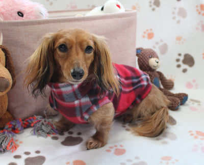 Falko Red Plaid Fleece Dachshund Sweater - Measurements in item description