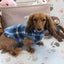 Brinkley Blue Plaid Fleece Dachshund Sweater - Measurements in item description